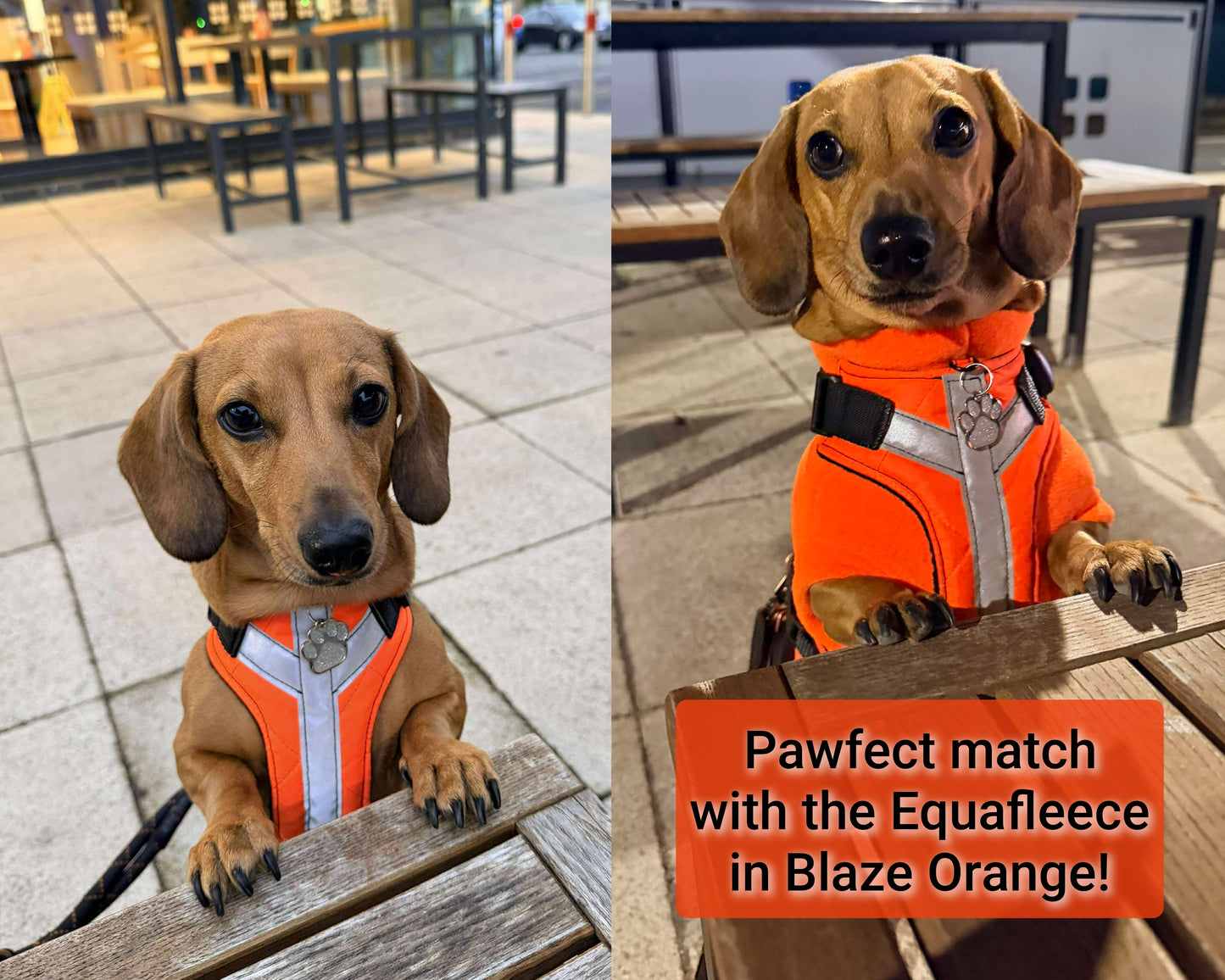 Hi-Vis/Reflective Tailored Harness