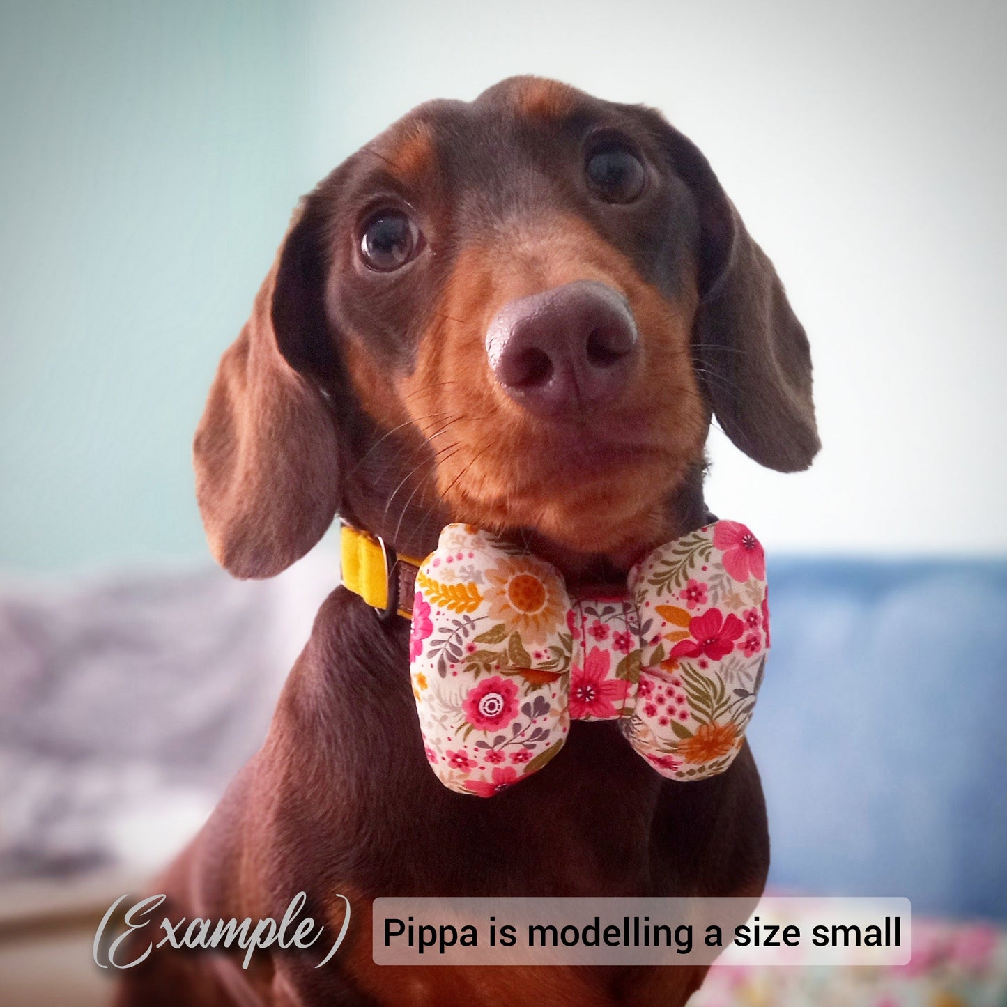Puffy Bow