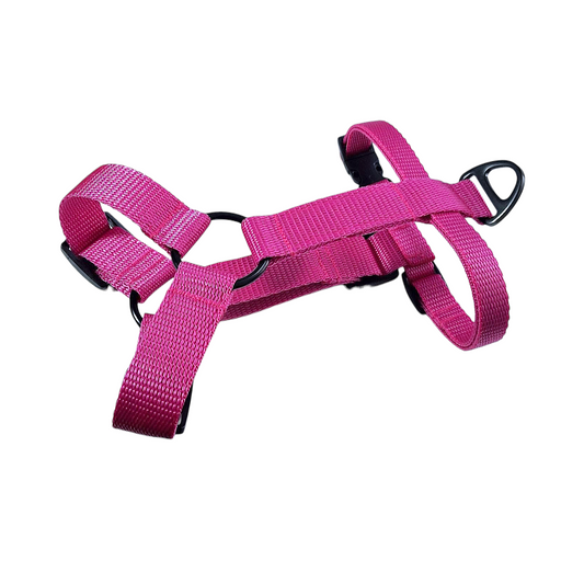 Basics - Webbing Strap Harness