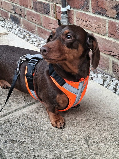Hi-Vis/Reflective Tailored Harness