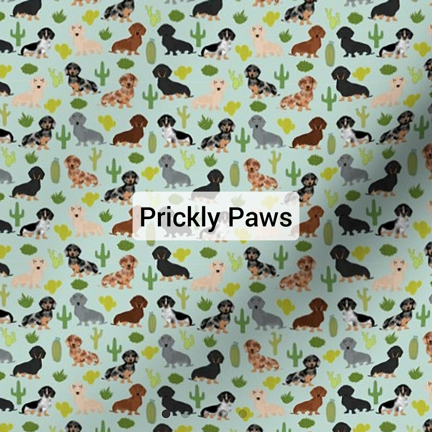 SPECIAL EDITION | Prickly Paws - Tailored Harness