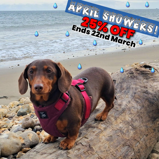 Tailored Harness - Waterproof Quilted