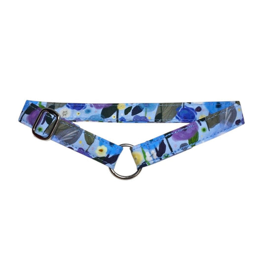 ID/House Collar (ADJUSTABLE)