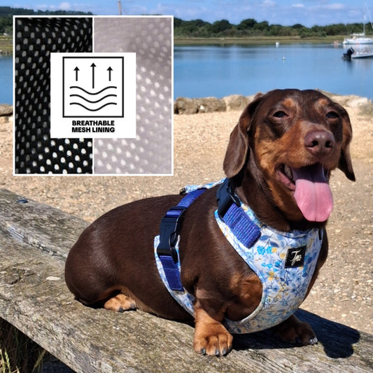 ☆𝗡𝗘𝗪☆ Tailored Harness - Airtex