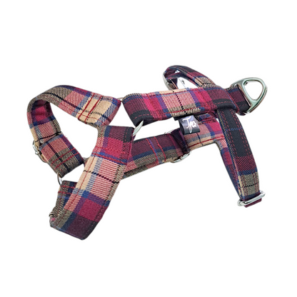 Strap Harness
