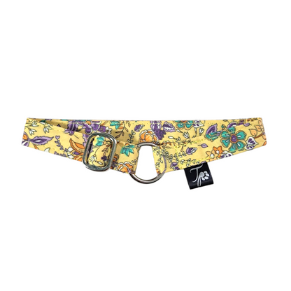 ID/House Collar (ADJUSTABLE)