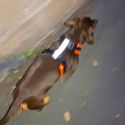 Hi-Vis/Reflective Tailored Harness