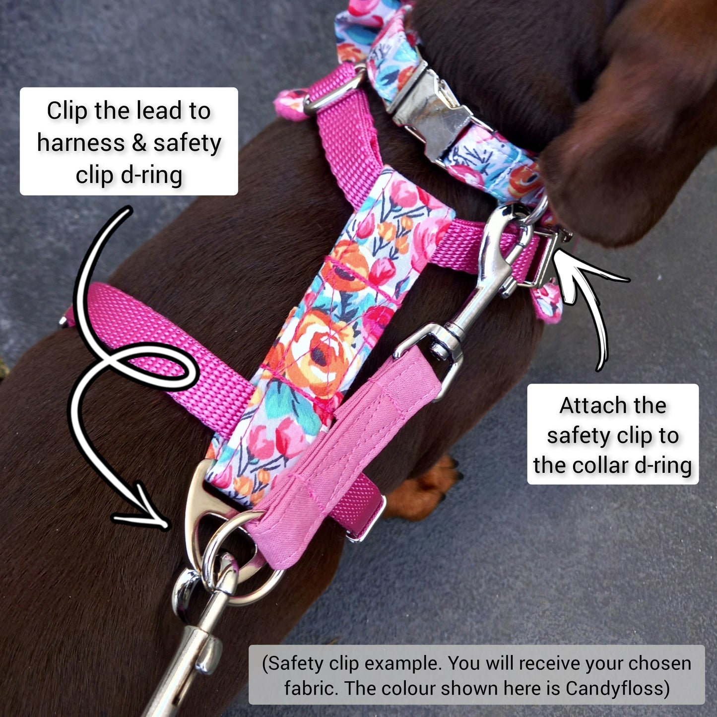 Safety Clip