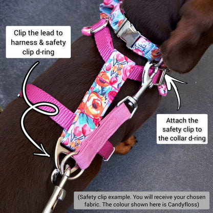 Safety Clip