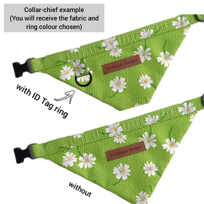 Collar-chief